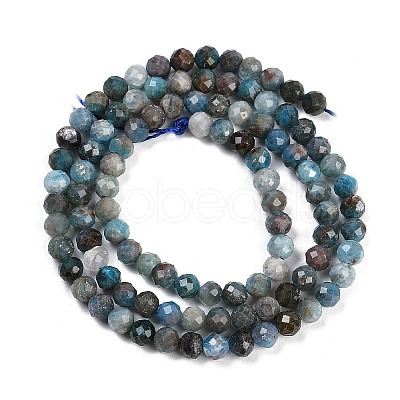 Natural Apatite Beads Strands G-F782-B05-03-1