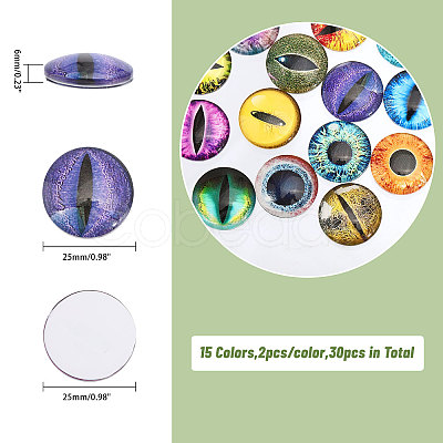 CHGCRAFT 30Pcs 15 Colors Luminous Self Adhesive Glass Eyes Cabochons DIY-CA0006-27B-1