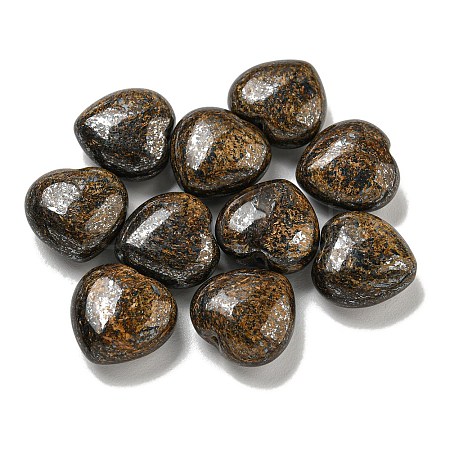 Natural Bronzite Beads G-P531-A23-01-1