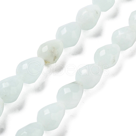 Natural Amazonite Beads Strands G-P520-B10-01-1