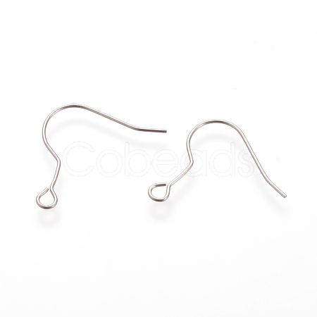 Tarnish Resistant 304 Stainless Steel Earring Hooks STAS-T013-02-1