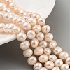 Natural Cultured Freshwater Pearl Beads Strands PEAR-C003-16A-2