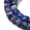 Natural Sodalite Beads Strands G-H042-A08-02-4