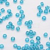 8/0 Glass Seed Beads X-SEED-J013-F8-19-3