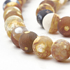 Dyed Natural Fire Crackle Agate Beads Strands G-T106-041-2