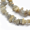Natural Labradorite Beads Strands X-G-P332-23-2