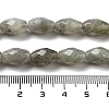Natural Labradorite Beads Strands G-P520-C08-01-5