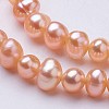 Natural Cultured Freshwater Pearl Beads Strands PEAR-F004-03-02-4