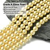Eco-Friendly Dyed Glass Pearl Round Bead Strands X-HY-A002-8mm-RB071-2