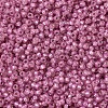 MIYUKI Round Rocailles Beads SEED-X0054-RR0645-2