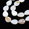 Natural Freshwater Shell Beads Strands SHEL-S278-068-3