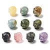 Natural & Synthetic Gemstone Carved Figurines DJEW-L023-C-1