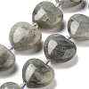 Natural Labradorite Beads Strands G-C150-A17-01-2