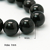 Natural Obsidian Beads Strands G-G099-14mm-24-2