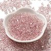 Glass Seed Beads SEED-K009-04A-11-2