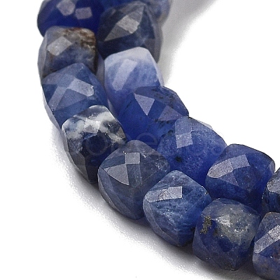 Natural Sodalite Beads Strands G-H042-A08-02-1