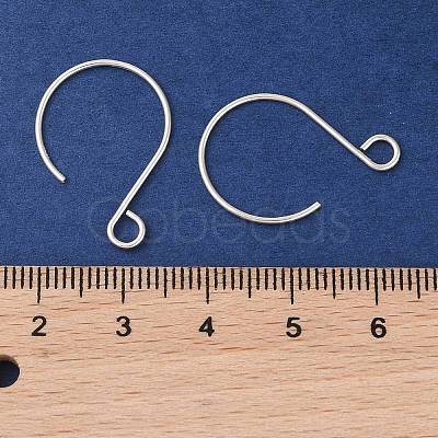 925 Sterling Silver Earring Hooks STER-NH0009-01A-1