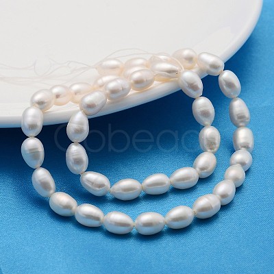 Natural Cultured Freshwater Pearl Beads Strands PEAR-L001-15-1