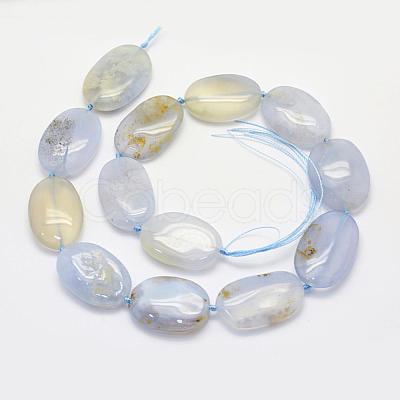 Natural Blue Lace Agate Beads Strands G-K202-14B-1