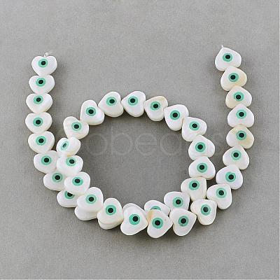 Natural Sea Shell Beads Strands SSHEL-Q296-35-1