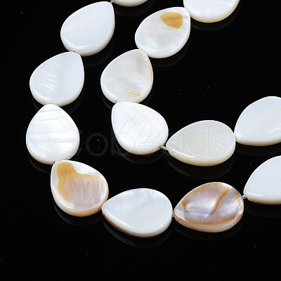 Natural Freshwater Shell Beads Strands SHEL-S278-068-1