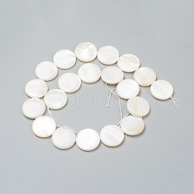 Natural Freshwater Shell Beads X-BSHE-I011-01A-02-1