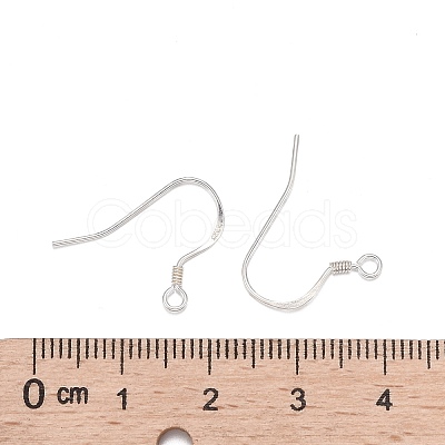 925 Sterling Silver Earring Hooks STER-K167-049D-S-1