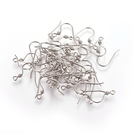 Tarnish Resistant 304 Stainless Steel Earring Hooks STAS-R063-67-1