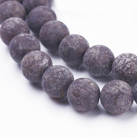 Natural Snowflake Obsidian  Beads Strands G-F520-48-8mm-1