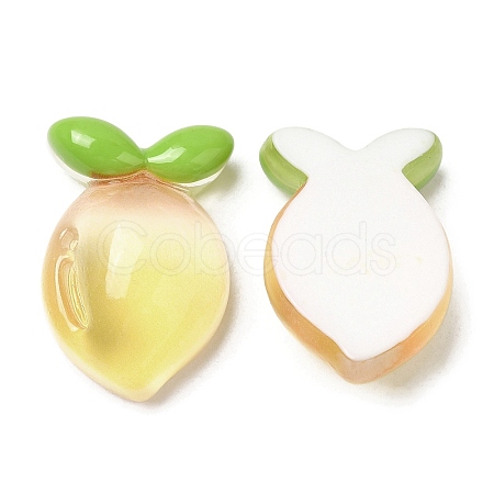 Translucent Resin Fruit Cabochons RESI-G072-03E-1