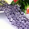 K9 Glass, Faceted Flat Round Imitation Austrian Crystal Bead Strands, Grade AAA, Medium Purple, 10x5mm, Hole: 0.9~1mm, about 40pcs/strand, 15.7 inch