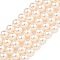 Glass Pearl Beads Strands, Round, PeachPuff, 8mm, Hole: 0.6mm, about 51pcs/strand, 15.98''(40.6cm)