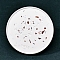 Twelve Constellations Plaster Coaster, with Red Agate Clips, Flat Round, Virgo, 100mm