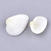 Clam Shell Beads SSHEL-S258-48-2