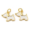 Brass Enamel Charms KK-E093-01G-01-1