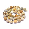 Natural Fossil Coral Beads Strands G-K306-A07-10mm-2