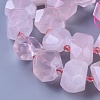 Natural Rose Quartz Beads Strands G-F653-17-3