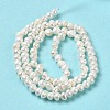 Natural Cultured Freshwater Pearl Beads Strands PEAR-E017-25-3