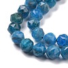 Natural Apatite Beads Strands G-K323-13-4
