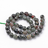 Natural African Bloodstone Beads Strands G-Q462-95-10mm-2