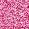 Glass Seed Beads SEED-S060-A-F448-3