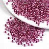 8/0 Glass Seed Beads X-SEED-A015-3mm-2209-1
