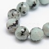 Natural Sesame Jasper/Kiwi Jasper Beads Strands X-G-L147-10mm-01-1