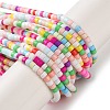 Handmade Czech Lampwork Beads Strands LAMP-L078-008F-1