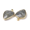 Faceted Natural Labradorite Pendants G-F340-02D-1