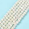 Natural Cultured Freshwater Pearl Beads Strands PEAR-E016-105-2