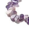 Natural Amethyst Beads Strands G-B064-B01-4