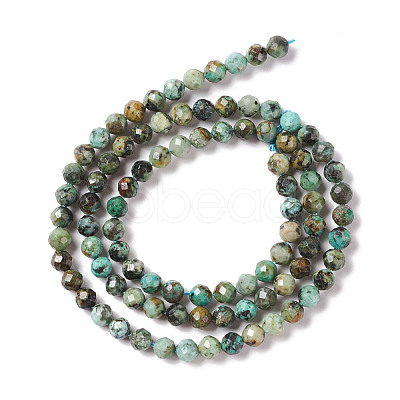 Natural African Turquoise(Jasper) Beads Strands G-F717-01-1