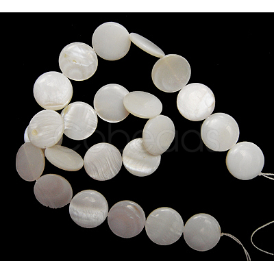 Natural Freshwater Shell Beads X-S00C20A2-1