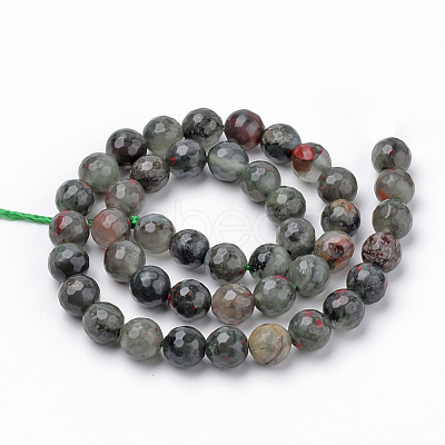 Natural African Bloodstone Beads Strands G-Q462-95-10mm-1